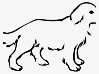 Baby Golden Coloring Pages