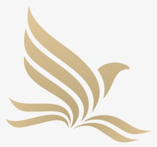 Dm Logo Gold - Facebook