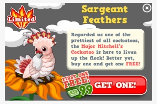 Major Mitchells Cockatoo Modal - Major Mitchell's Cockatoo