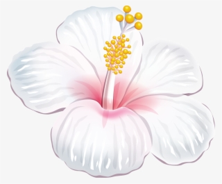 A Dc Db D Orig Png - Flores Tropicais Brancas Png
