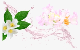 If You Like Sweet Pea, You'll Also Love