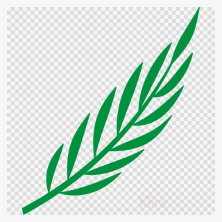 Laurel Leaf Clipart Bay Laurel Laurel Wreath Clip Art - Cape Verde