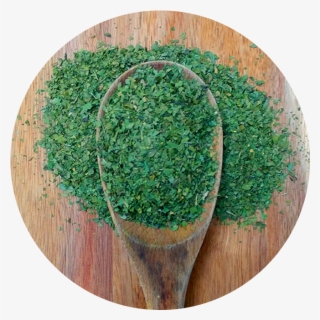 Parsley - Grass