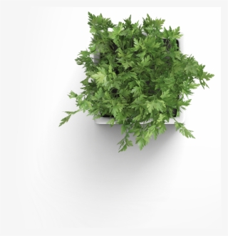 Clean & Flexible Wordpress Theme For Any Purpose - Satechi Type-c Power Meter St-tcpm