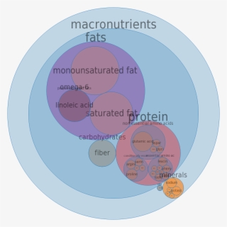 Onion Rings, Breaded, Par Fried, Frozen, Unprepared - Pie Chart Of Wendys Mcdonalds Burger King
