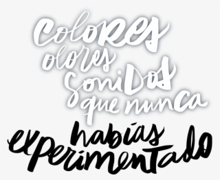 4×4 Safari Texto - Calligraphy