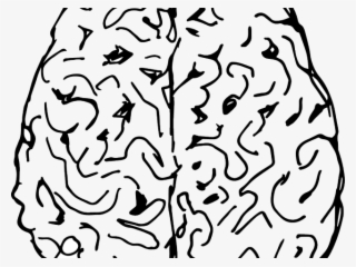 Drawn Brain Drawing - Brain