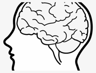 Drawn Brain Drawing - Easy Simple Brain Drawing
