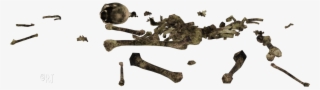 Bone Piles - Tree