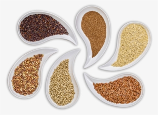 Carefully Selected And Controlled Ingredients - Gluten