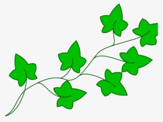 Vine Clipart Cartoon - Cartoon Poison Ivy Plant
