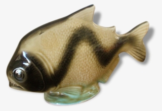 Piranha En Céramique Brazil - Pomacentridae