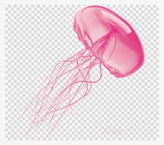 Jellyfish With No Background Clipart Jellyfish Clip - Water Droplet Black And White