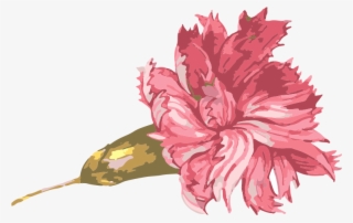 Banner Free Stock Carnation Vector Watercolor - Mother's Day Graphic Decal - Large