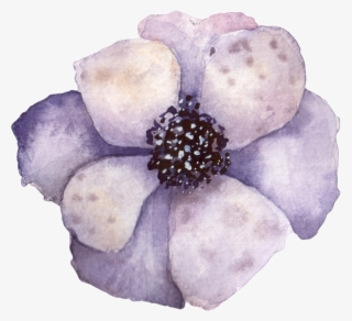 Hand Painted A Vintage Flower Png Transparent - Vintage Flowers Png