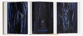 Damien Hirst Dark Trees Painting Book - Dark Trees