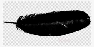 Brush Clipart Brush Eyebrow Black M - Paint Splash Black Png