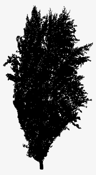 Free Download - Tree