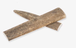 File - Yk-jjvanbmartenhide - Eliza Van Bibber School