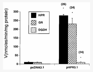 Cos 1 Cells Were Cotransfected With Luciferase Reporter - Diagram