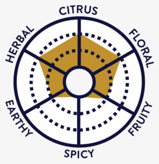 Flavor Wheel