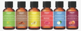 Amore 6-piece Aromatherapy Therapeutic Grade Essential - Essential Oil