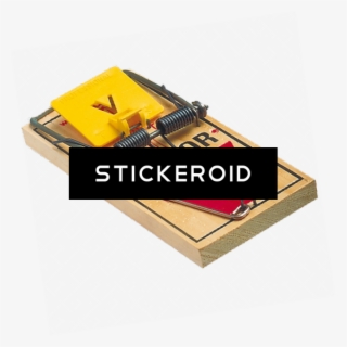 Mouse Trap Objects - Plywood