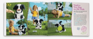 Clt65 Doll Pets Diy 2 Clt65 Doll Pets Diy 3 Clt65 Doll - Pet Publishing