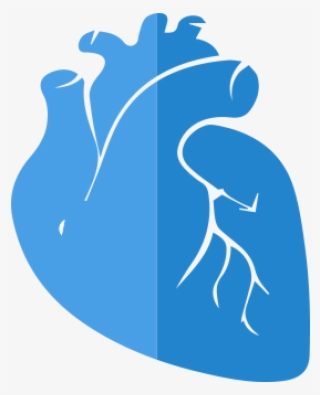 Train With Realism - Literary Realism