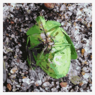 This Free Icons Png Design Of Green Belly Bug