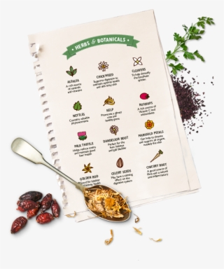 Complement Our Recipes - Food