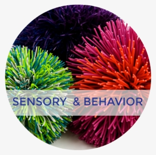 Welcome To Growing Hands-on Kids - Sensory Processing