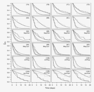 Empirical And Fitted Parametric Survivor Functions - Sketch