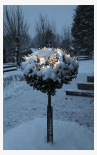 Cluster Lights Serie Led - Garland - Guirlande Lumineuse D'extérieur 192 Led L4,20m