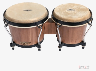 Product Sku - Oyster - Bongos Flt105 6/7"