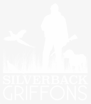 Hunting Dogs Wire Haired Pointing Griffons Griffs Gun - Hunting Dog