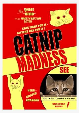 Catnip Madness - Big Boss