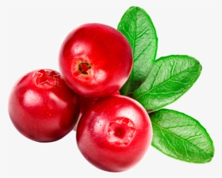 Cranberry Juice - Bearberry Extract