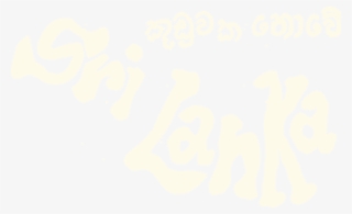 The Pomelo Team And Friends Travel By Train, Surf, - Travel