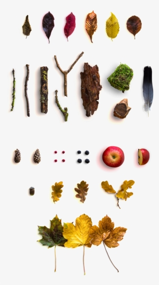 Y, American, Viento, Arce, Hoja, Corteza, Manzana, - Autumn Scene Free Mockup