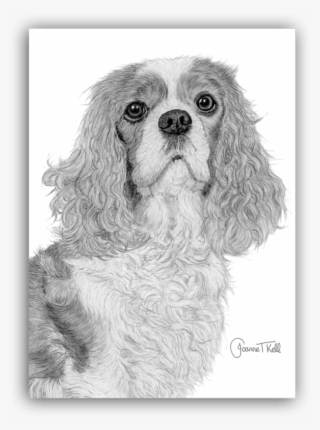 Cavalier King Charles Spaniel Blank Greeting Card - Cavalier King Charles Spaniel