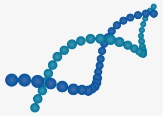 Much Of The Complexity Of The Cell And Gene Supply - Bracelet
