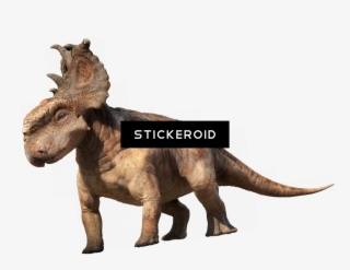 Dinosaur - Dinossauro Png