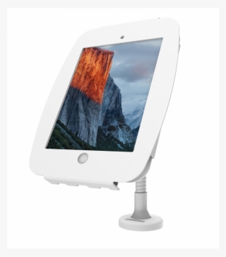 Flexible Ipad Arm Mount