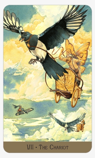 Main Menu The Chariot - Victorian Fairy Tarot Chariot