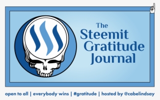 Grateful Dead Steal Your Face