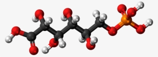 6 Phosphogluconic Ac - Molecule