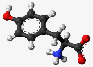 L Tyrosine Zwitterion 3d Balls - Amine Compounds (chemical Compounds)