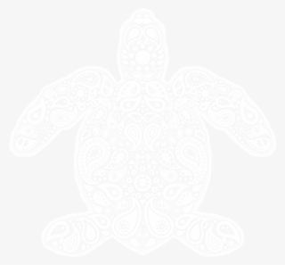 Paisley - Hawksbill Sea Turtle