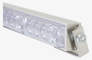 Light